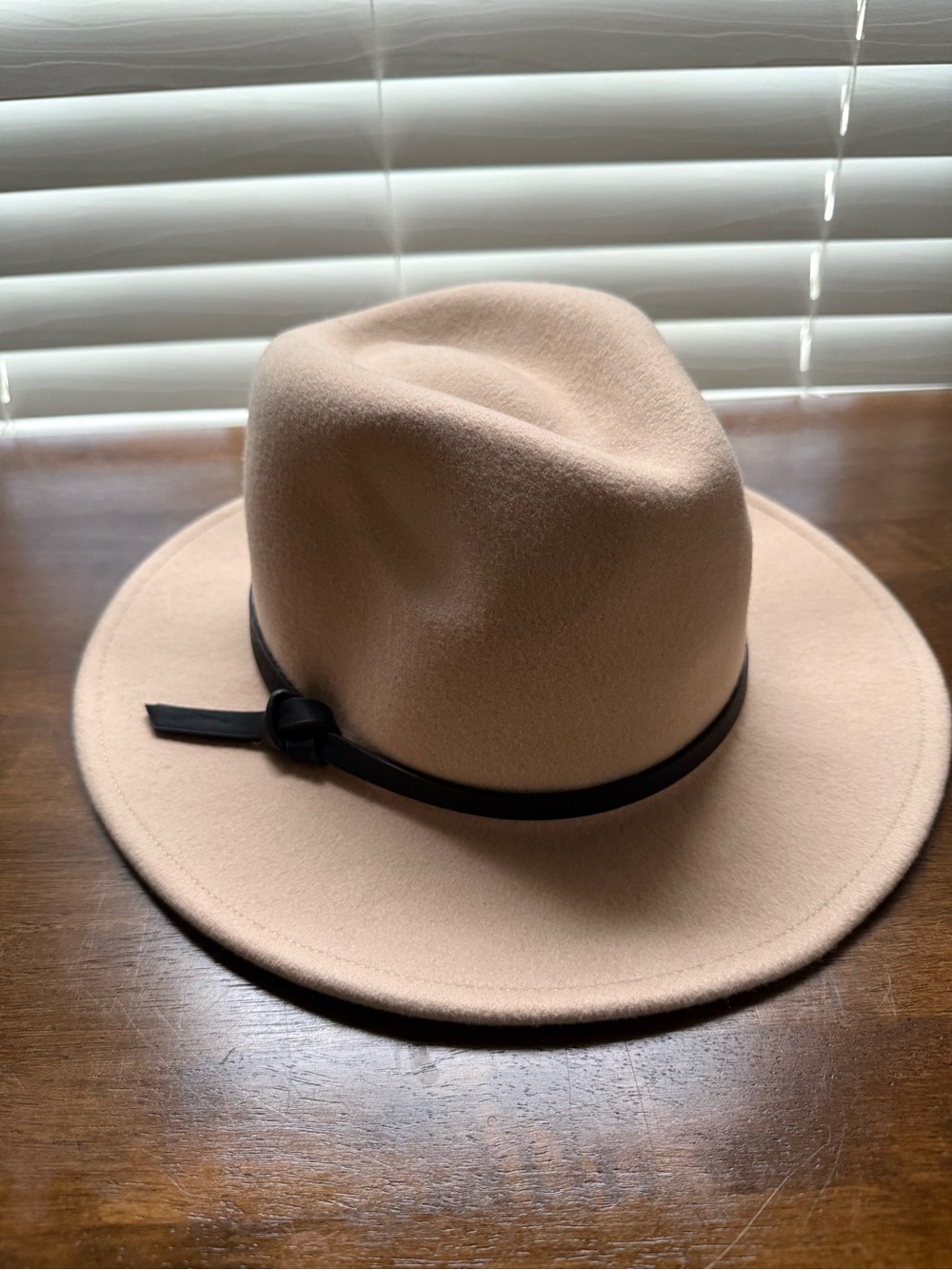 Wool Banana Republic Classic Wide-Brim Fedora Hat in Irish Cream with Black Band